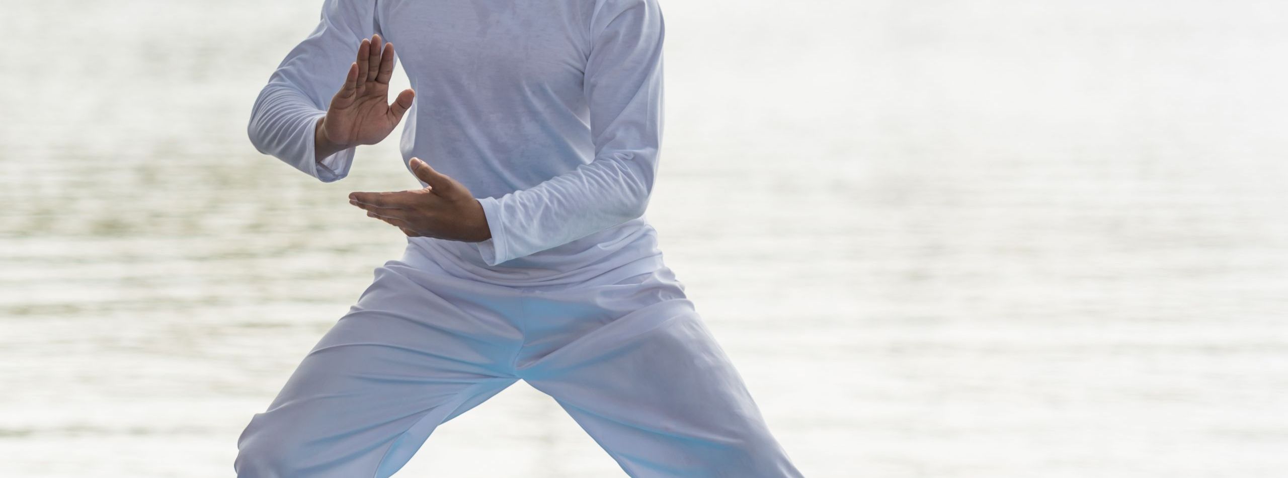 Qi Gong Taiji
